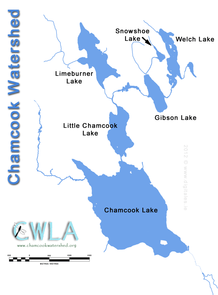 Map of Chamcook Watershed